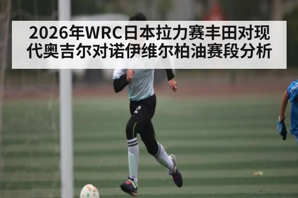2026年WRC日本拉力赛丰田对现代奥吉尔对诺伊维尔柏油赛段分析